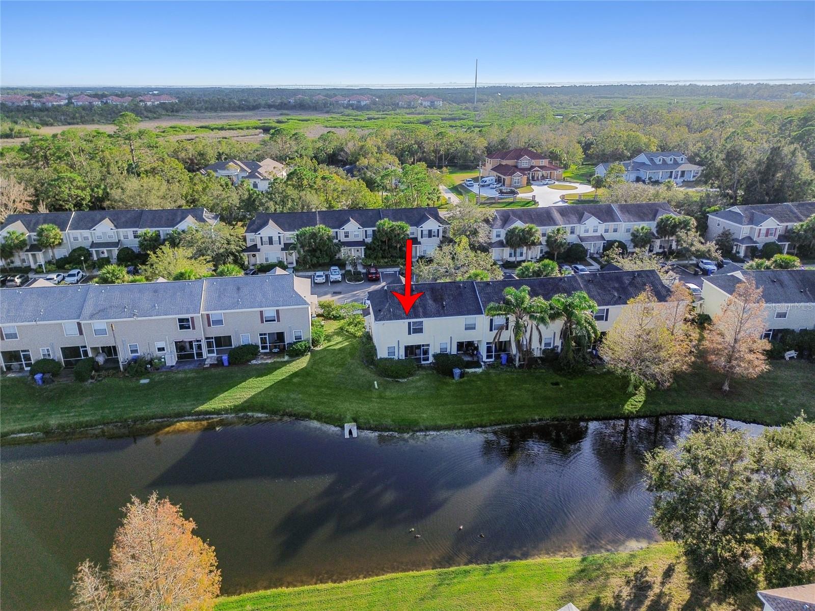 12449 COUNTRY WHITE CIR, TAMPA, FL, 33635