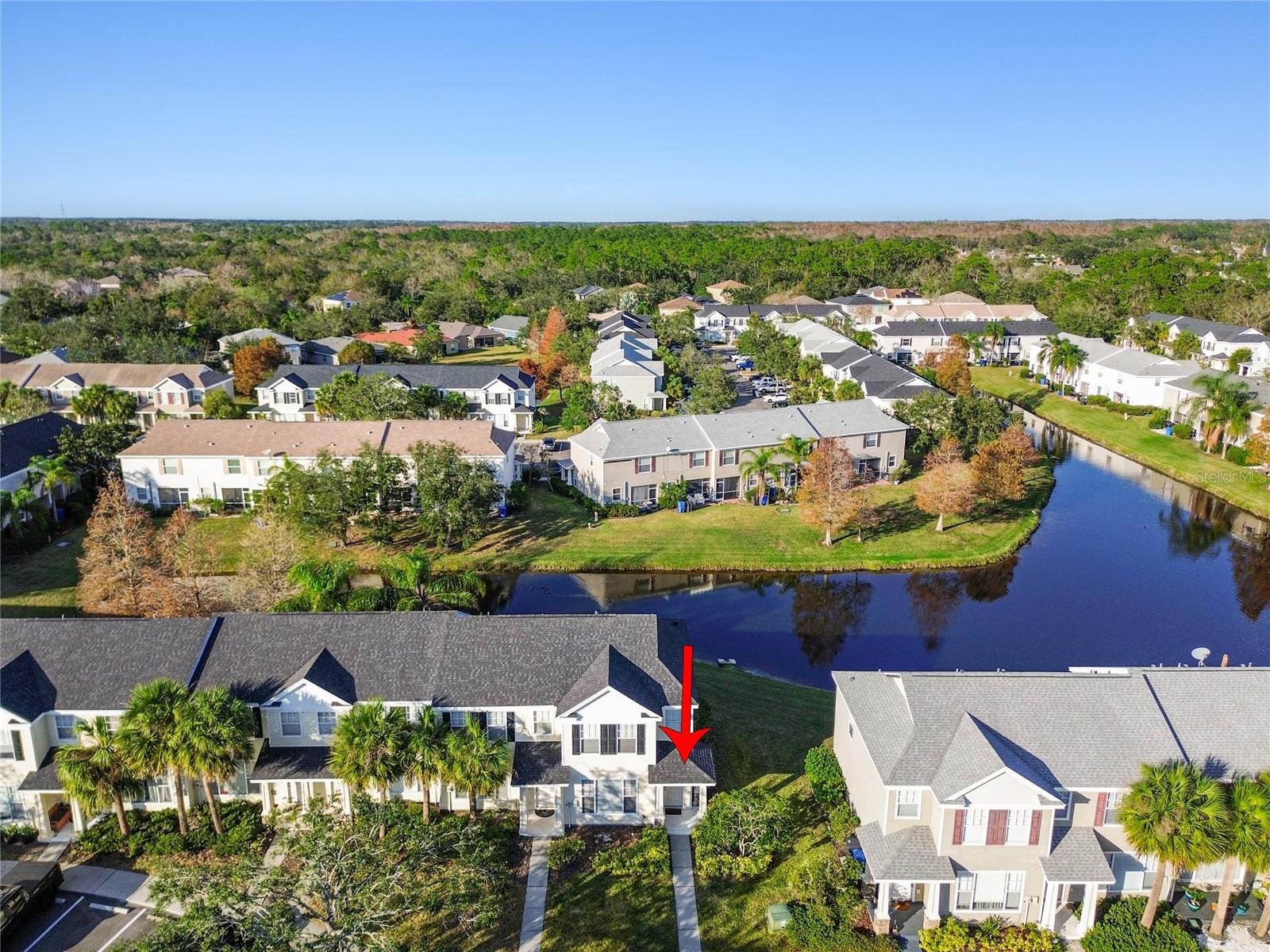 12449 COUNTRY WHITE CIR, TAMPA, FL, 33635