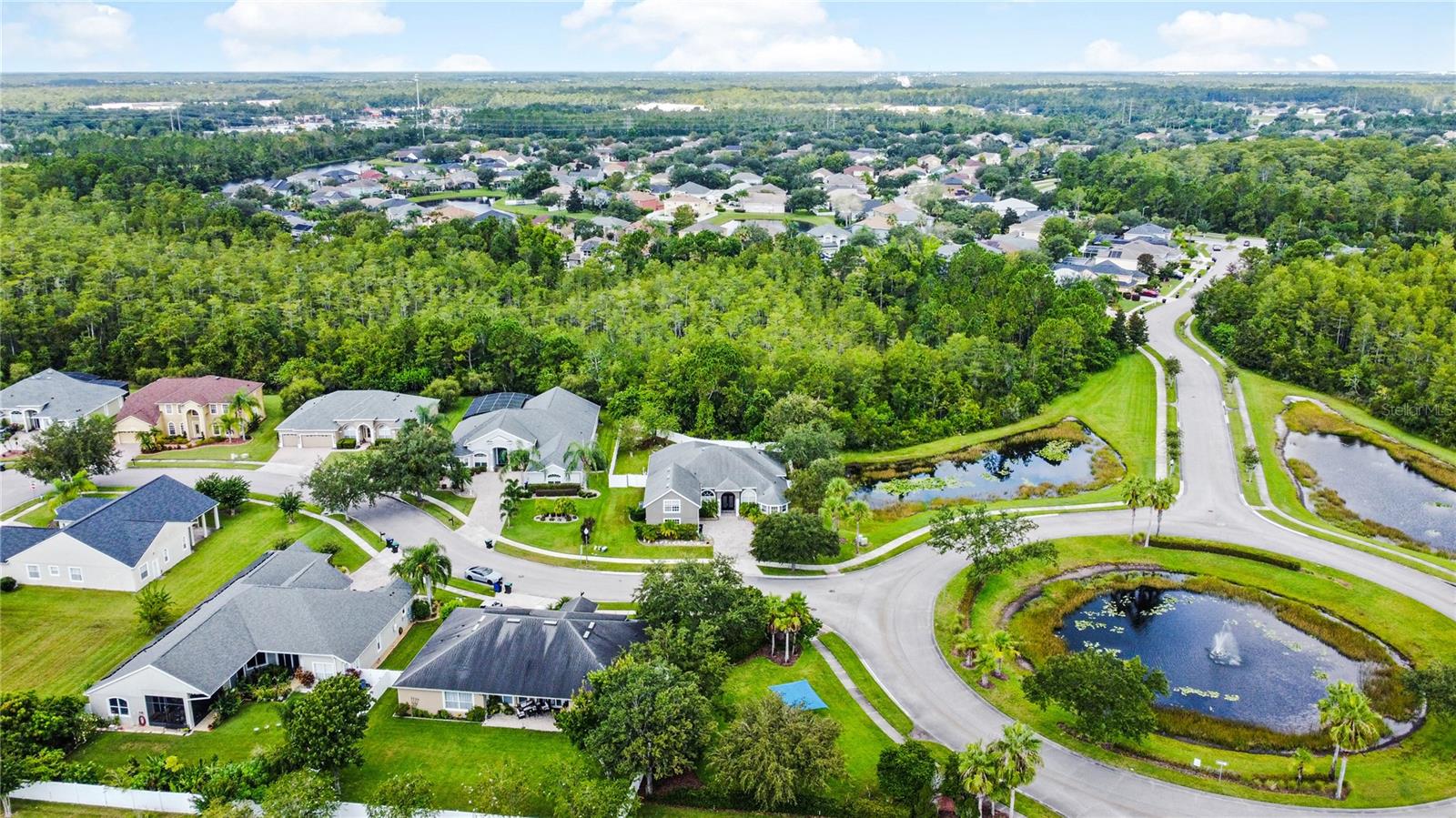 1424 RICHMOND GRAND AVE, ORLANDO, FL, 32820