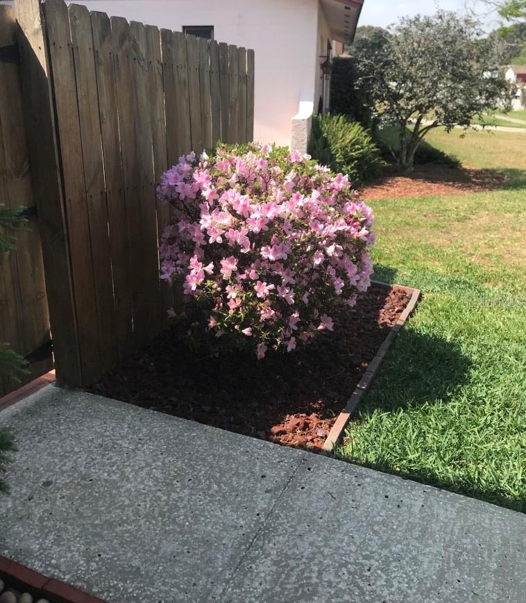 5138 ANDREA BLVD, ORLANDO, FL, 32807