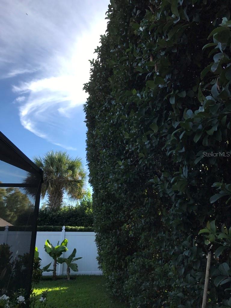 5138 ANDREA BLVD, ORLANDO, FL, 32807