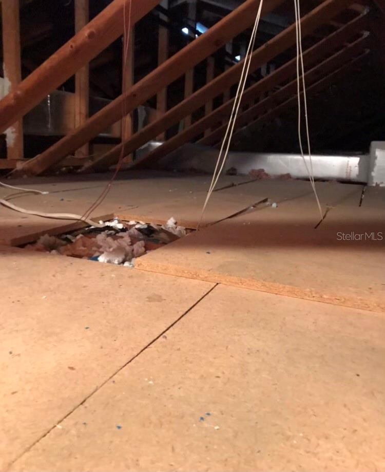 5138 ANDREA BLVD, ORLANDO, FL, 32807