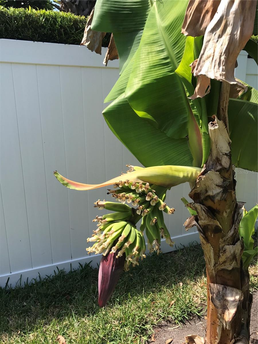 5138 ANDREA BLVD, ORLANDO, FL, 32807