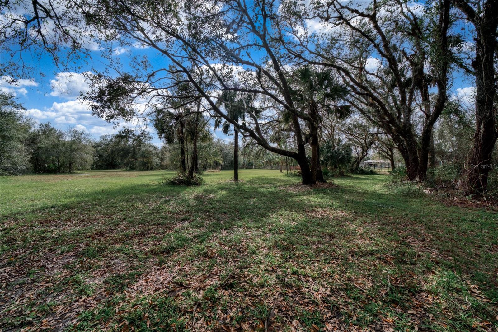 3788 SW ARMADILLO TRL, ARCADIA, FL, 34266