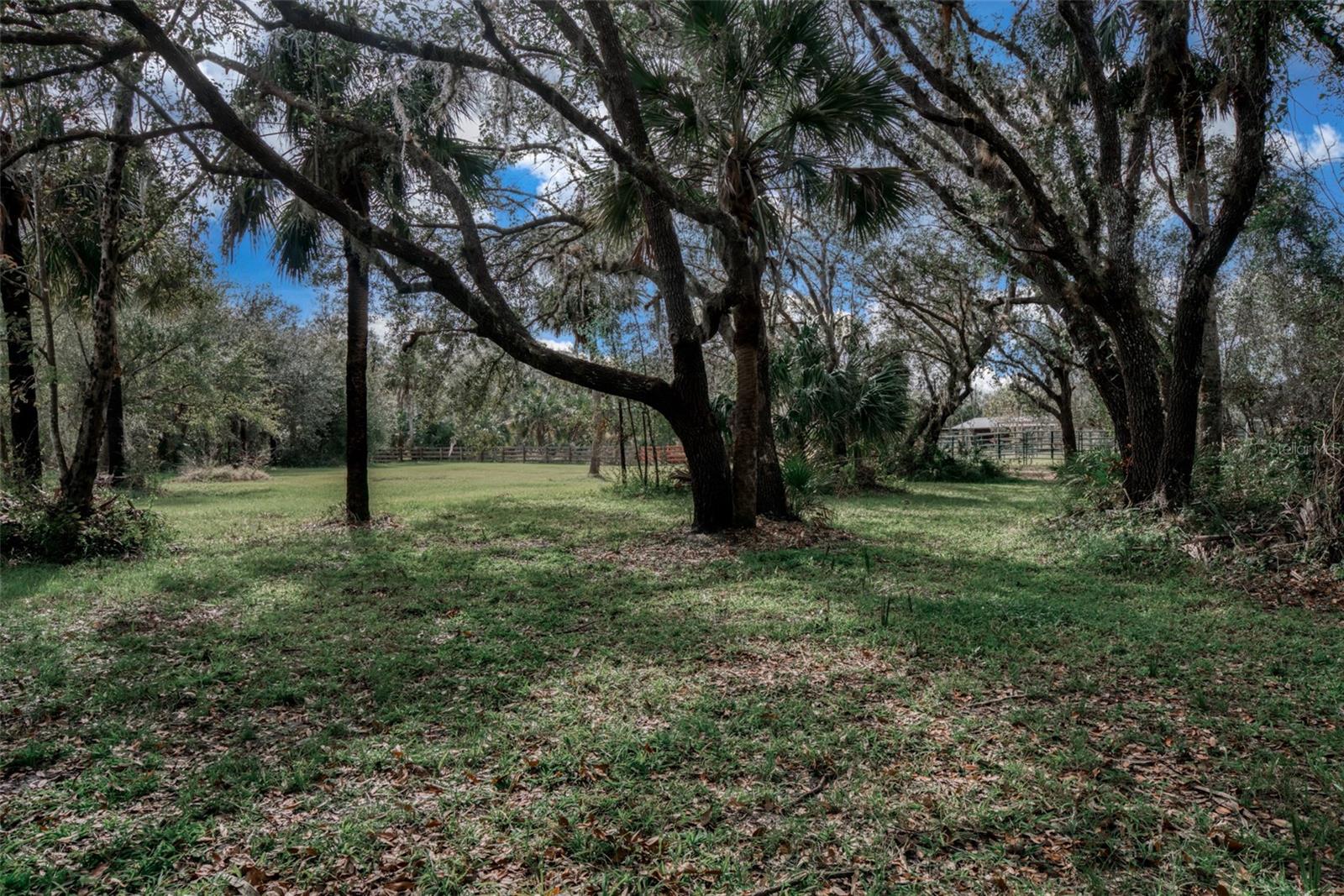 3788 SW ARMADILLO TRL, ARCADIA, FL, 34266