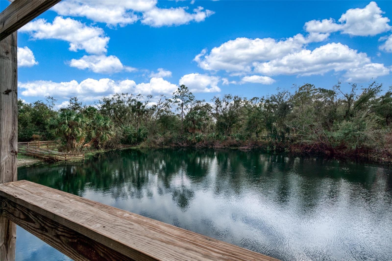 3788 SW ARMADILLO TRL, ARCADIA, FL, 34266