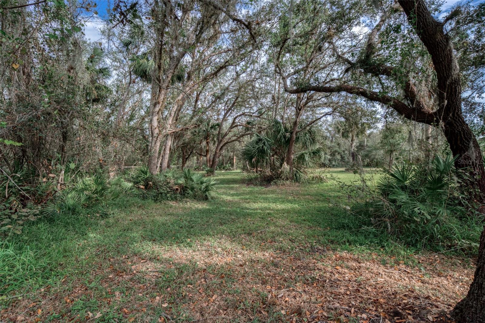3788 SW ARMADILLO TRL, ARCADIA, FL, 34266