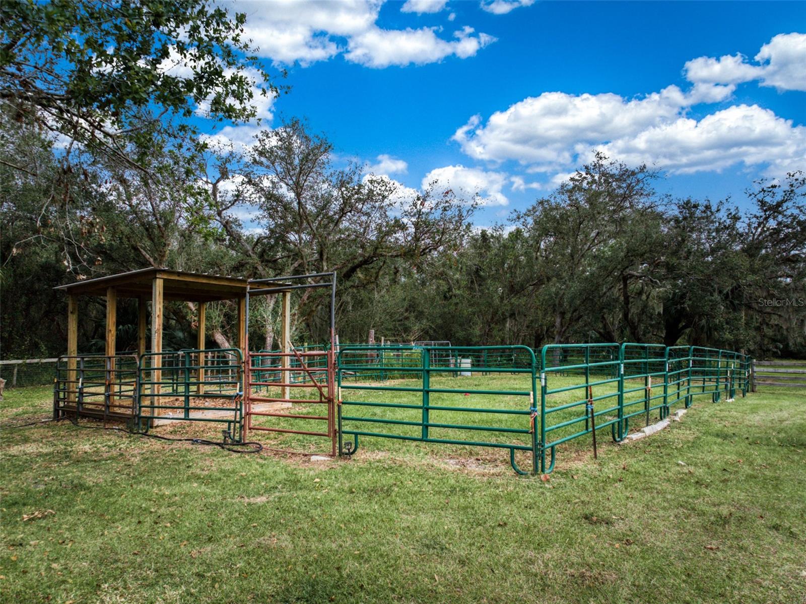 3788 SW ARMADILLO TRL, ARCADIA, FL, 34266