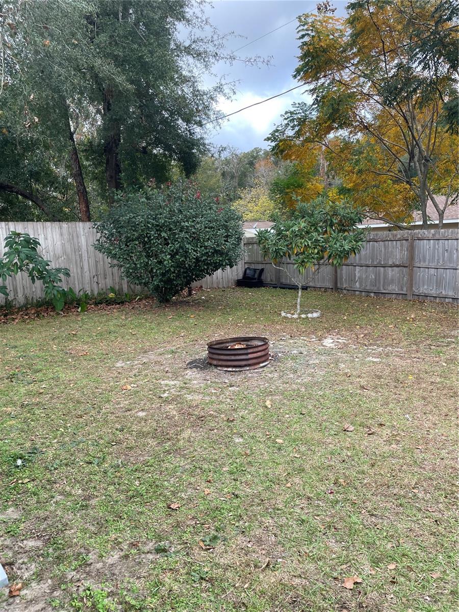 1669 NE 162ND ST, CITRA, FL, 32113