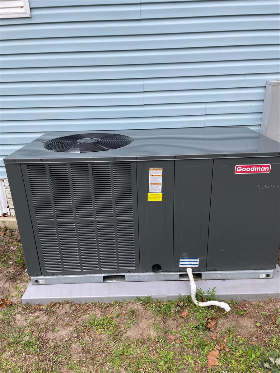 1669 NE 162ND ST, CITRA, FL, 32113