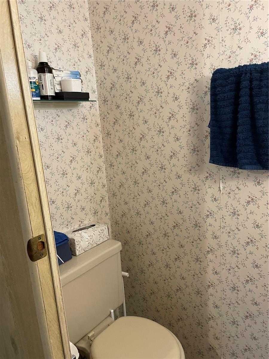 1669 NE 162ND ST, CITRA, FL, 32113