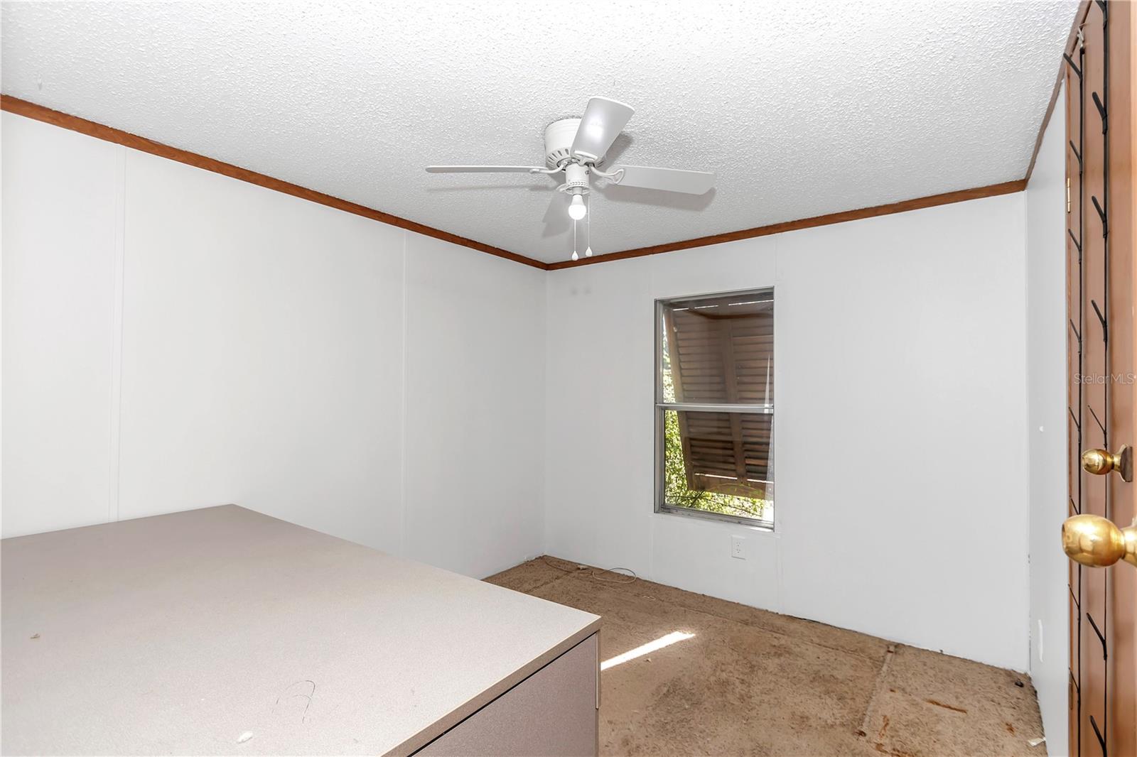 8125 NW 145TH ST, REDDICK, FL, 32686