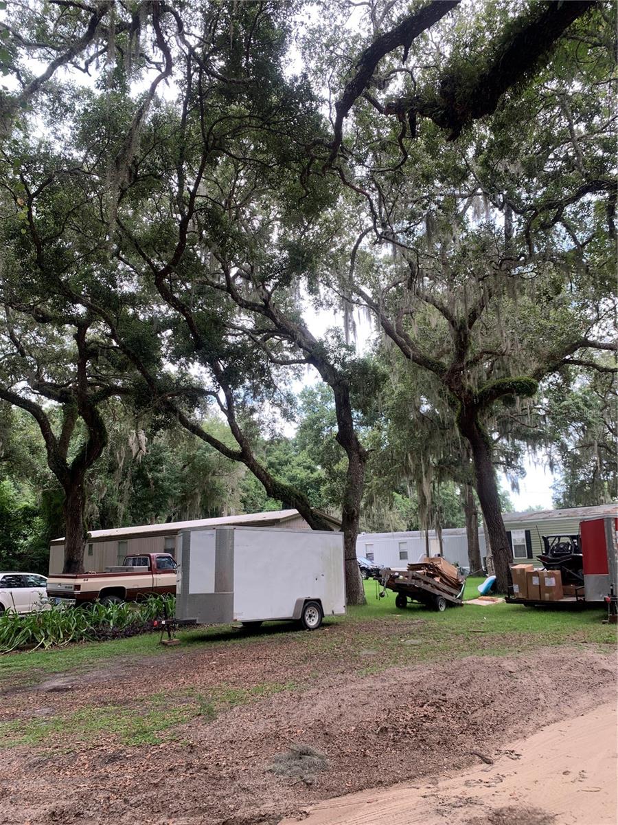 6906 CR 150, WILDWOOD, FL, 34785