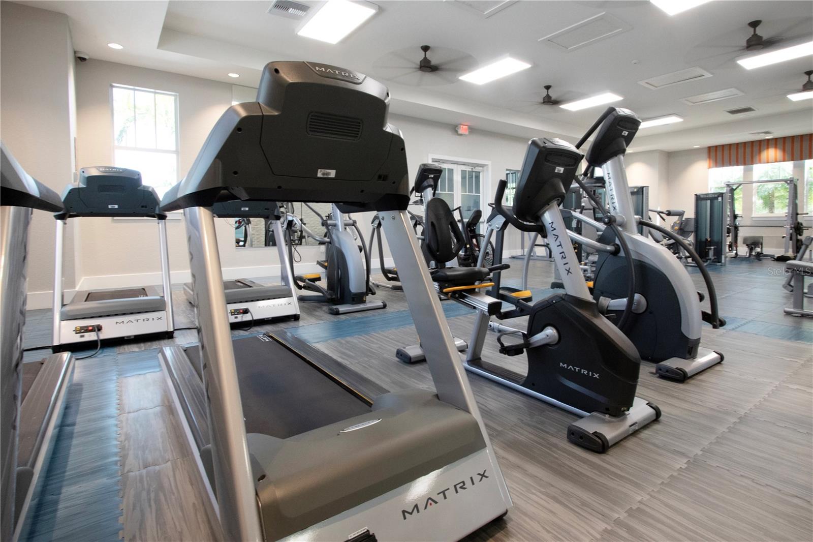 14307 SKIPPING STONE LOOP, PARRISH, FL, 34219