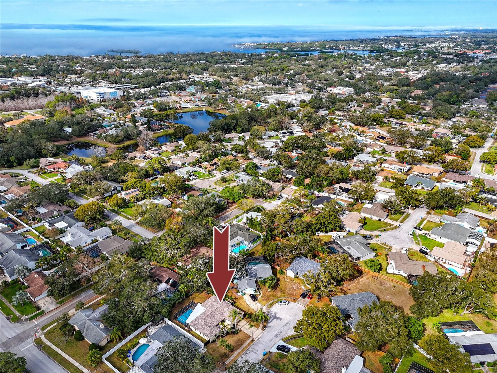 391 MERAVAN CT, PALM HARBOR, FL, 34683