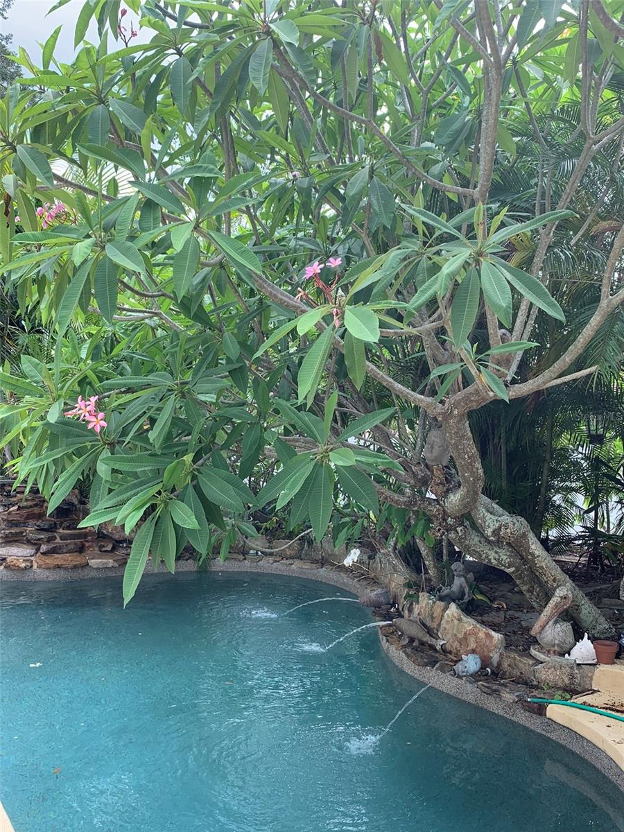 9130 DOLLANGER CT, ORLANDO, FL, 32819