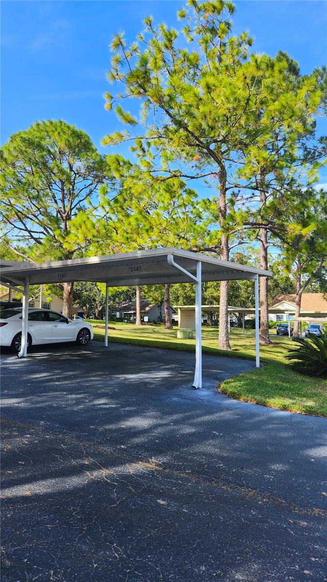2583 BENTLEY DR, PALM HARBOR, FL, 34684