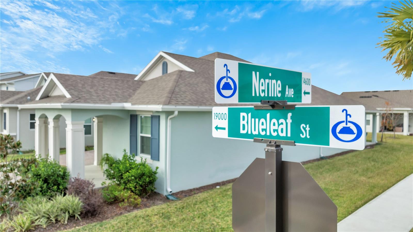 19041 BLUELEAF ST, ORLANDO, FL, 32827