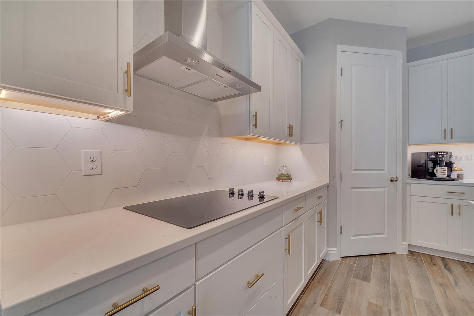 19041 BLUELEAF ST, ORLANDO, FL, 32827