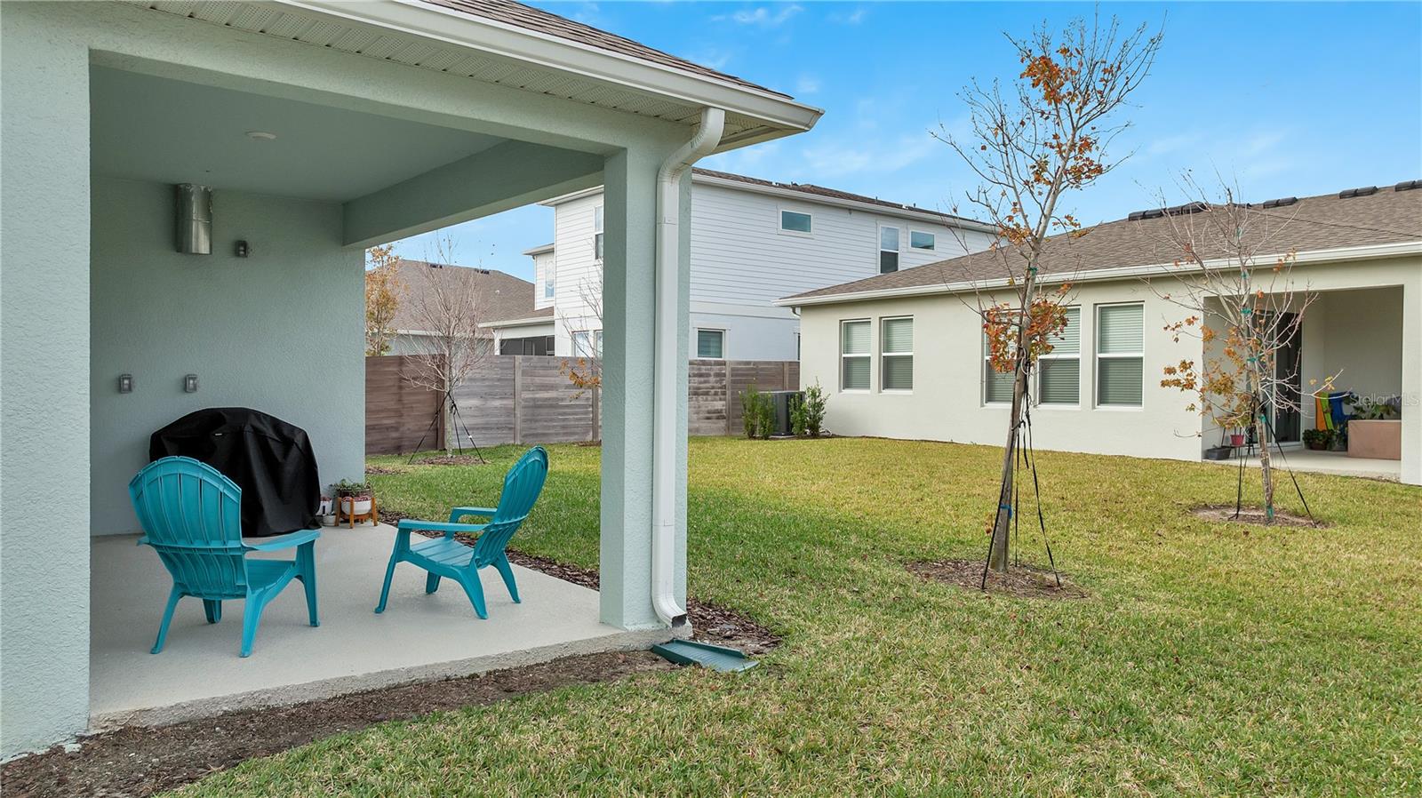 19041 BLUELEAF ST, ORLANDO, FL, 32827