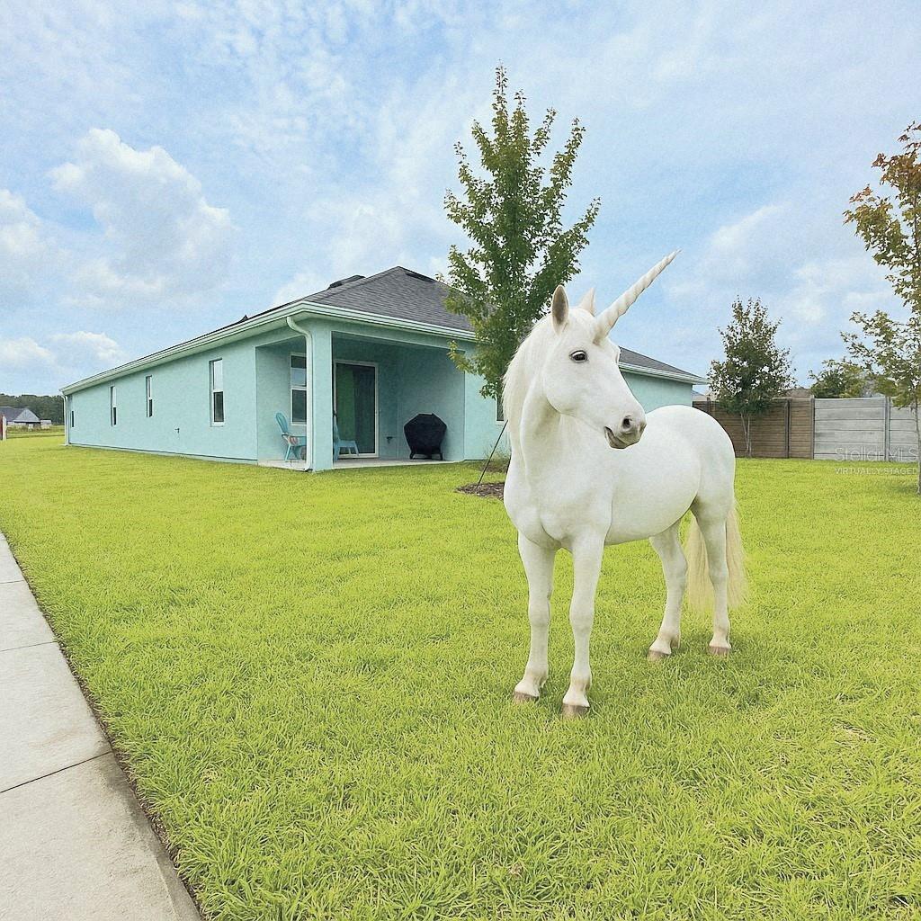19041 BLUELEAF ST, ORLANDO, FL, 32827