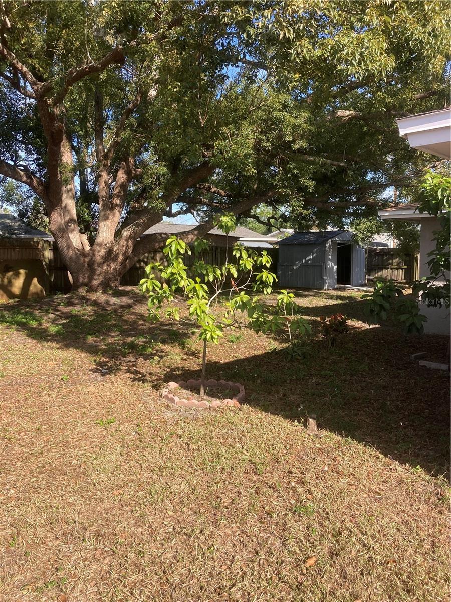 7539 MARECHAL AVE, PORT RICHEY, FL, 34668