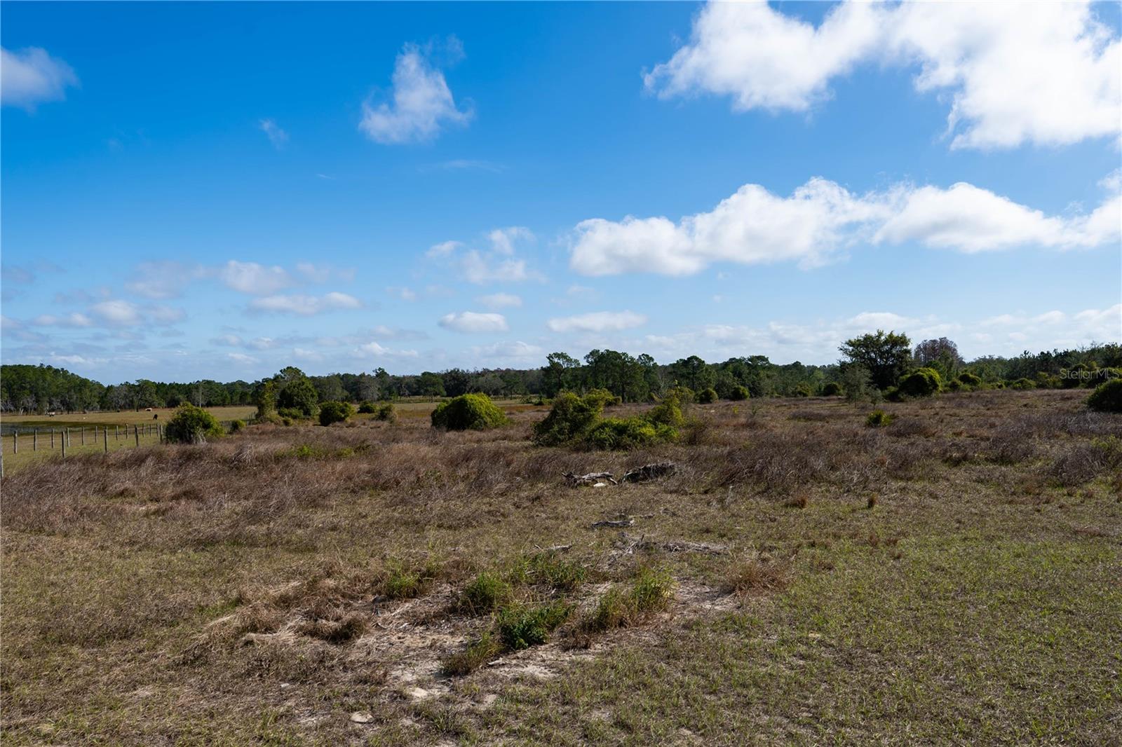 JAMESON FARM RD, CLERMONT, FL, 34711