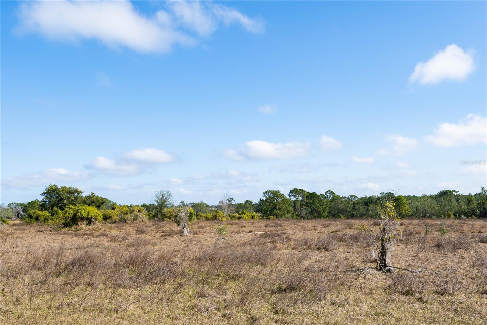 JAMESON FARM RD, CLERMONT, FL, 34711