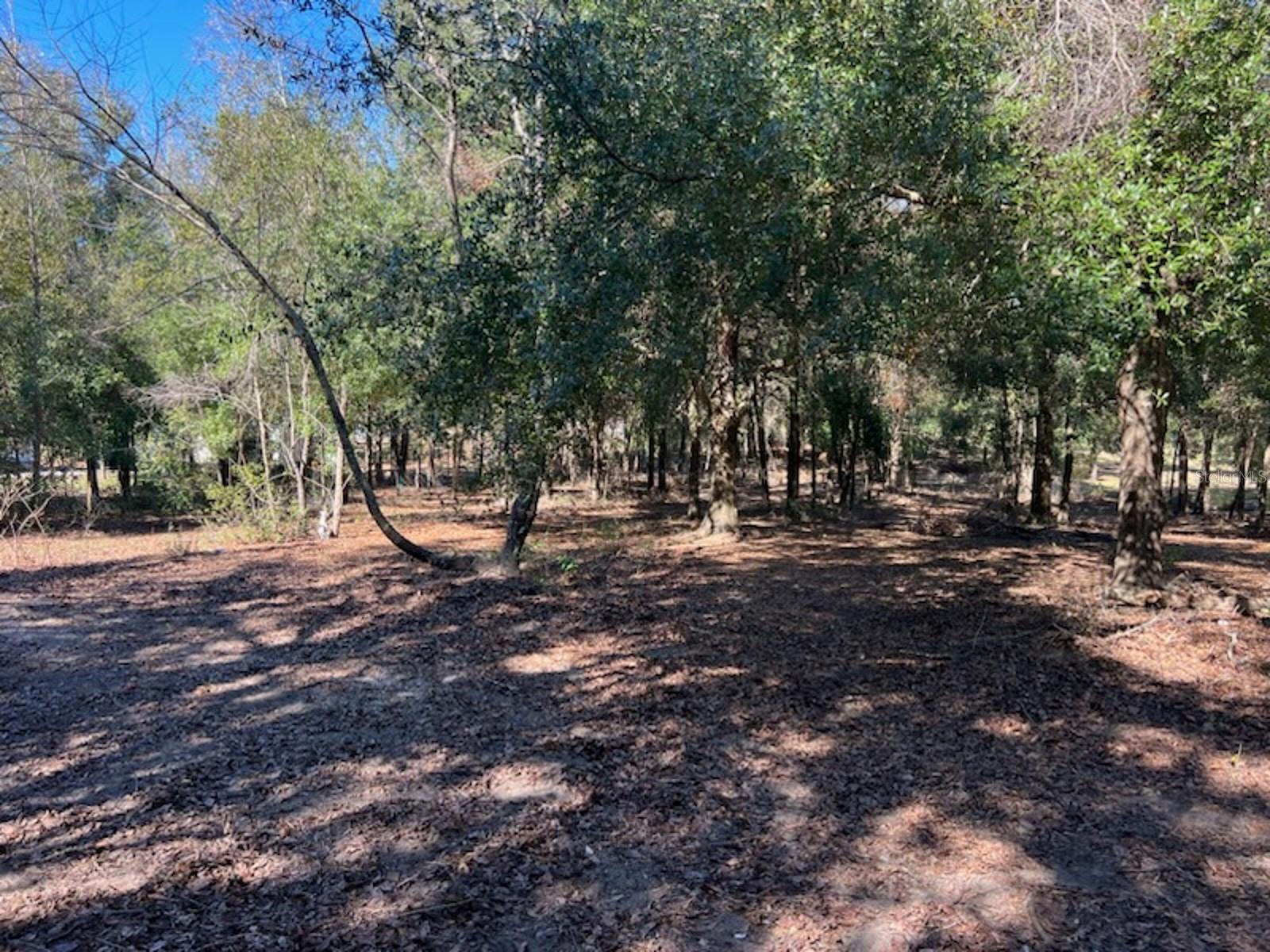 22531 5TH ST, HOWEY IN THE HILLS, FL, 34737