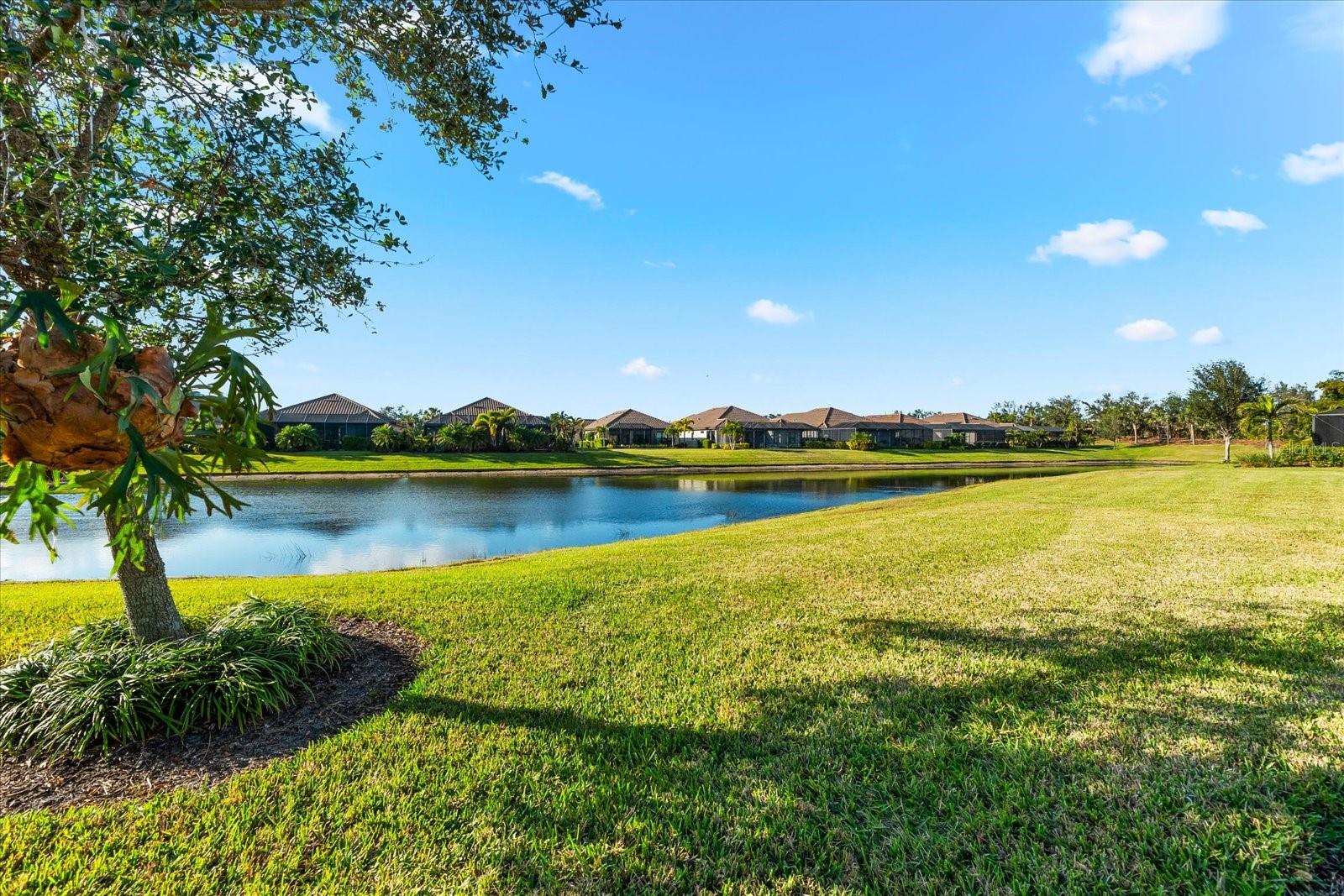 8721 BELLUSSI DR, SARASOTA, FL, 34238