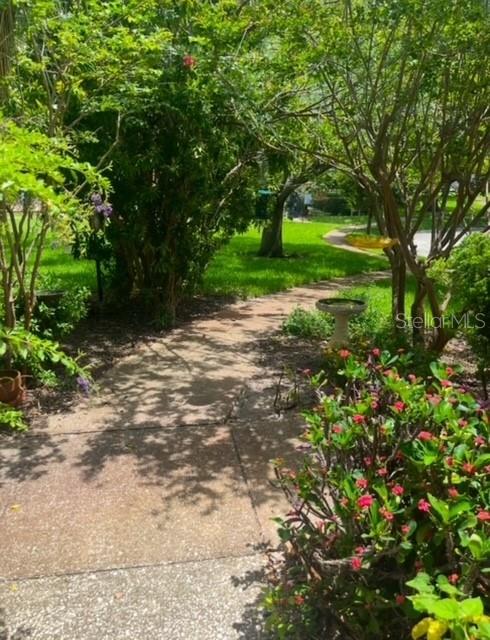 4229 LA SORRENTO CT, TAMPA, FL, 33611