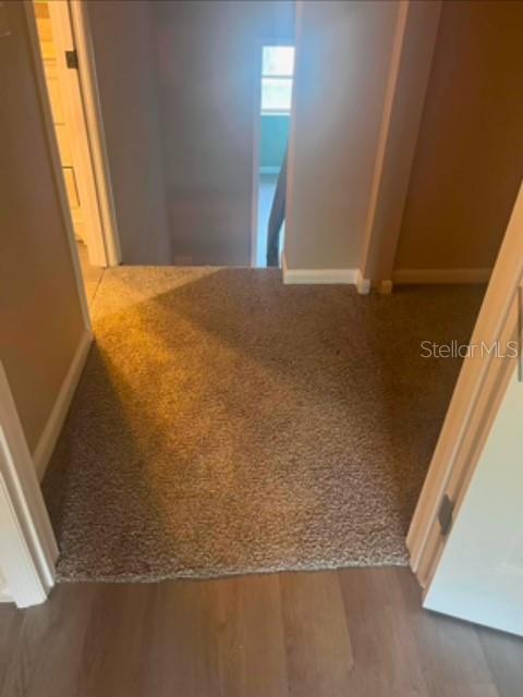 4229 LA SORRENTO CT, TAMPA, FL, 33611