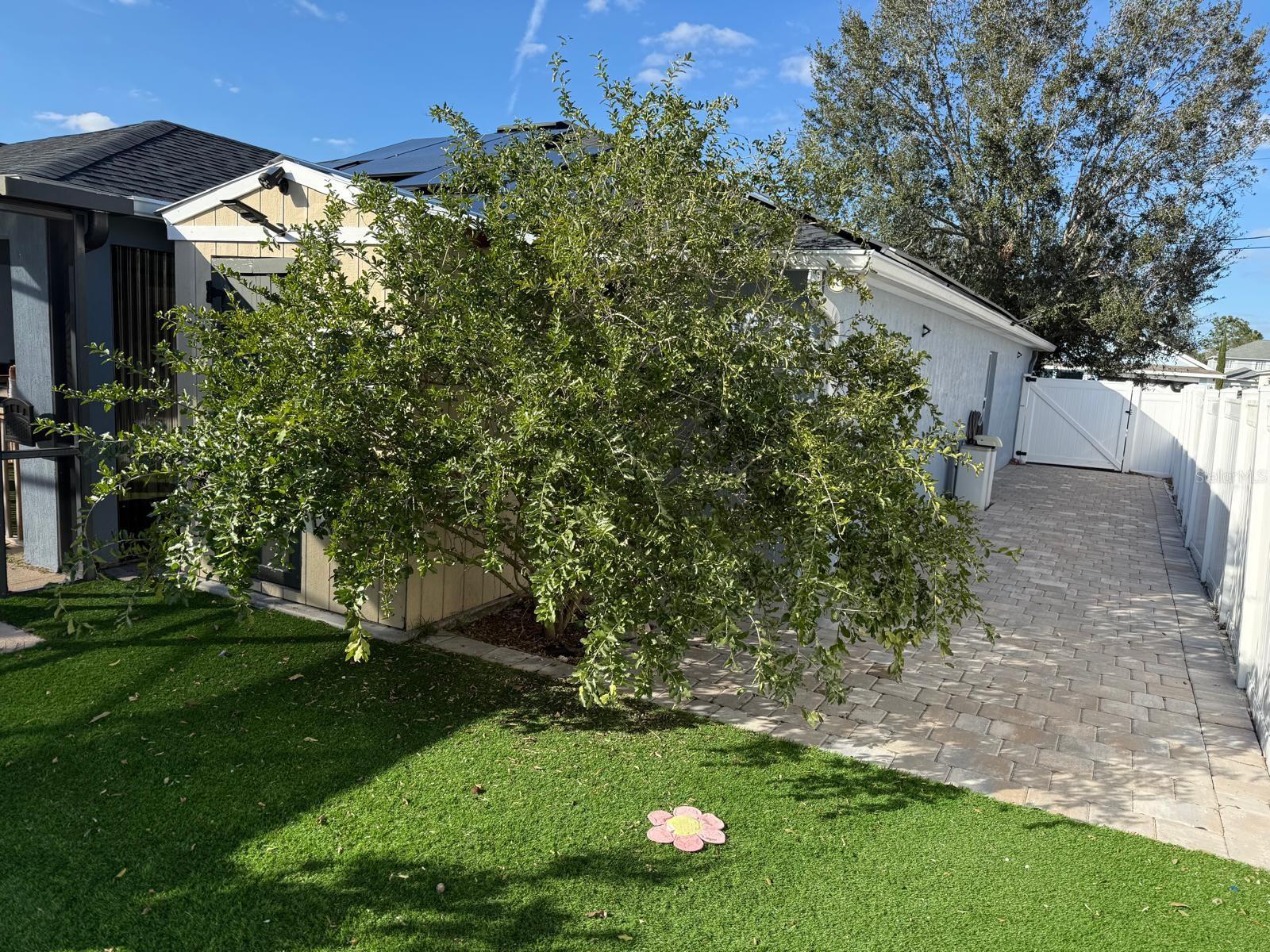 402 RIO GRANDE CT, POINCIANA, FL, 34759