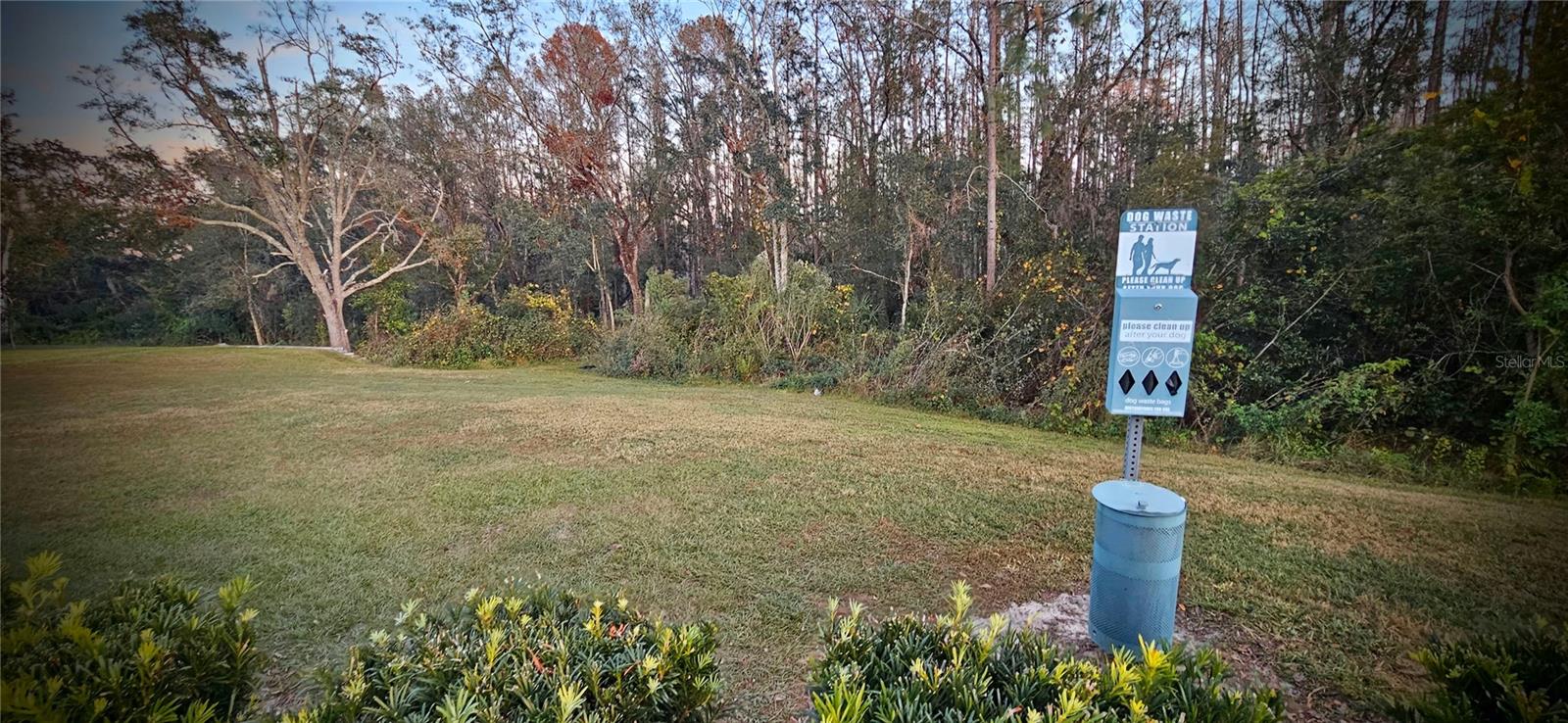 2951 DEER PINE TRL, LAND O LAKES, FL, 34638
