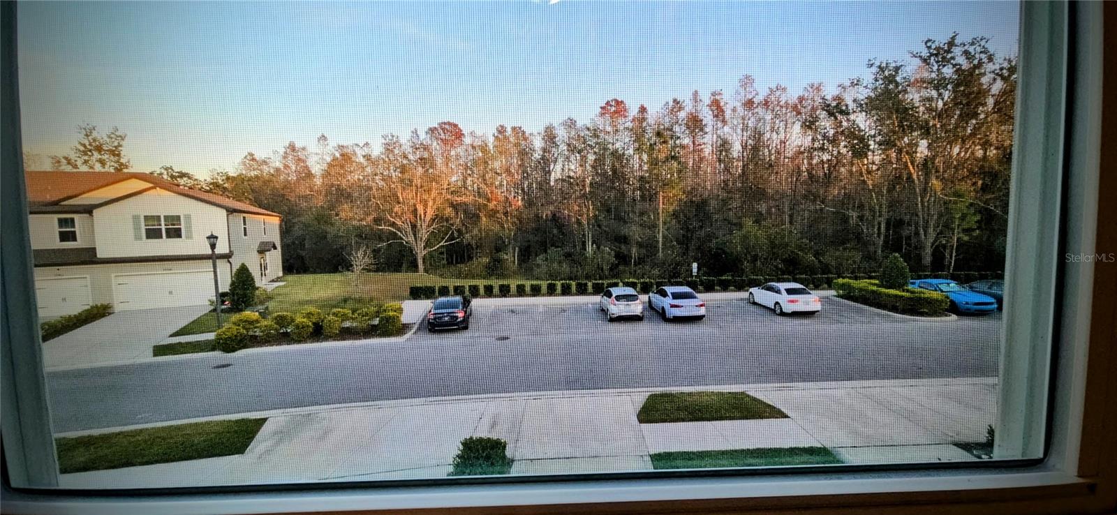 2951 DEER PINE TRL, LAND O LAKES, FL, 34638