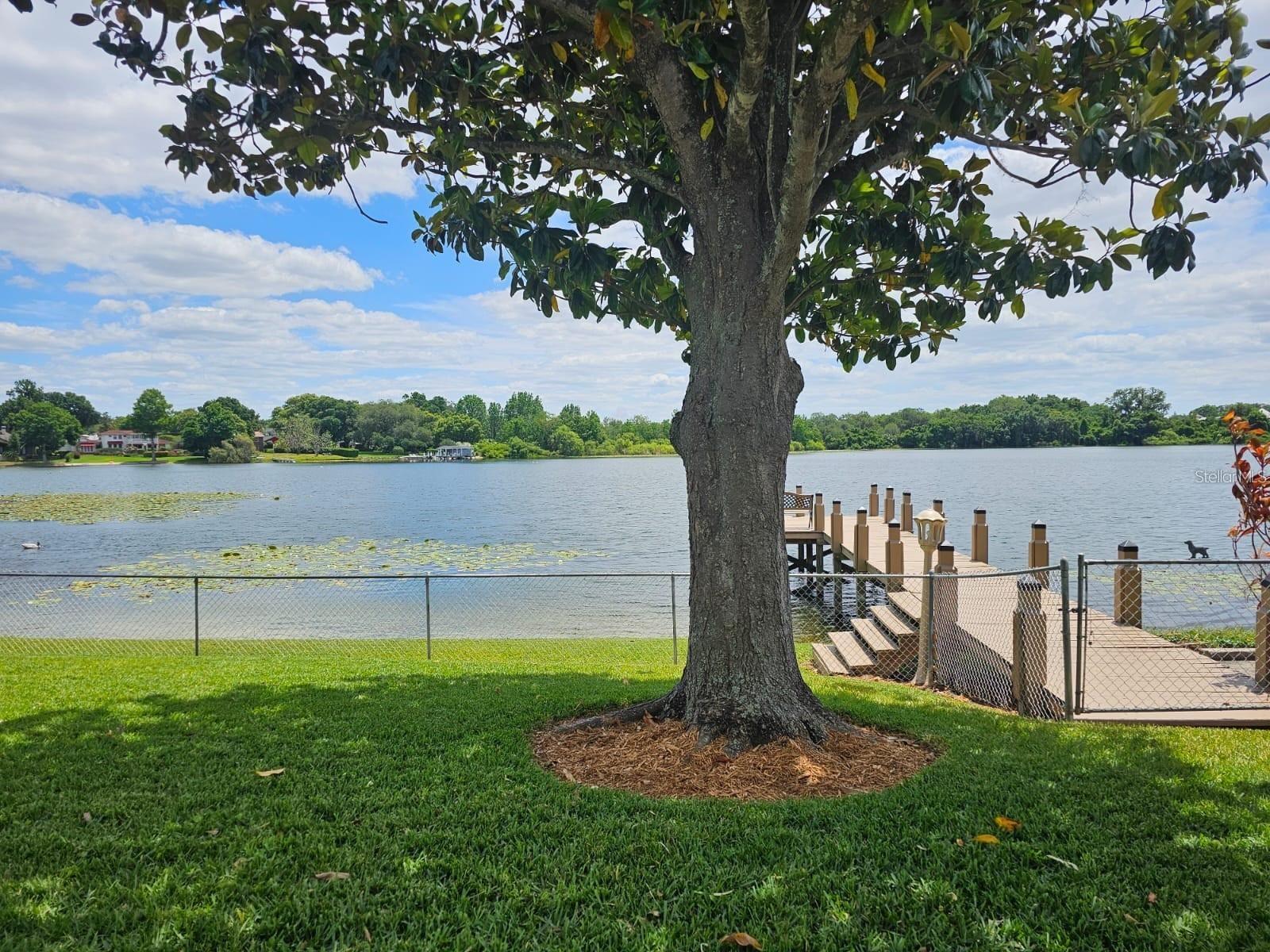 3651 S ROSALIND AVE, ORLANDO, FL, 32806