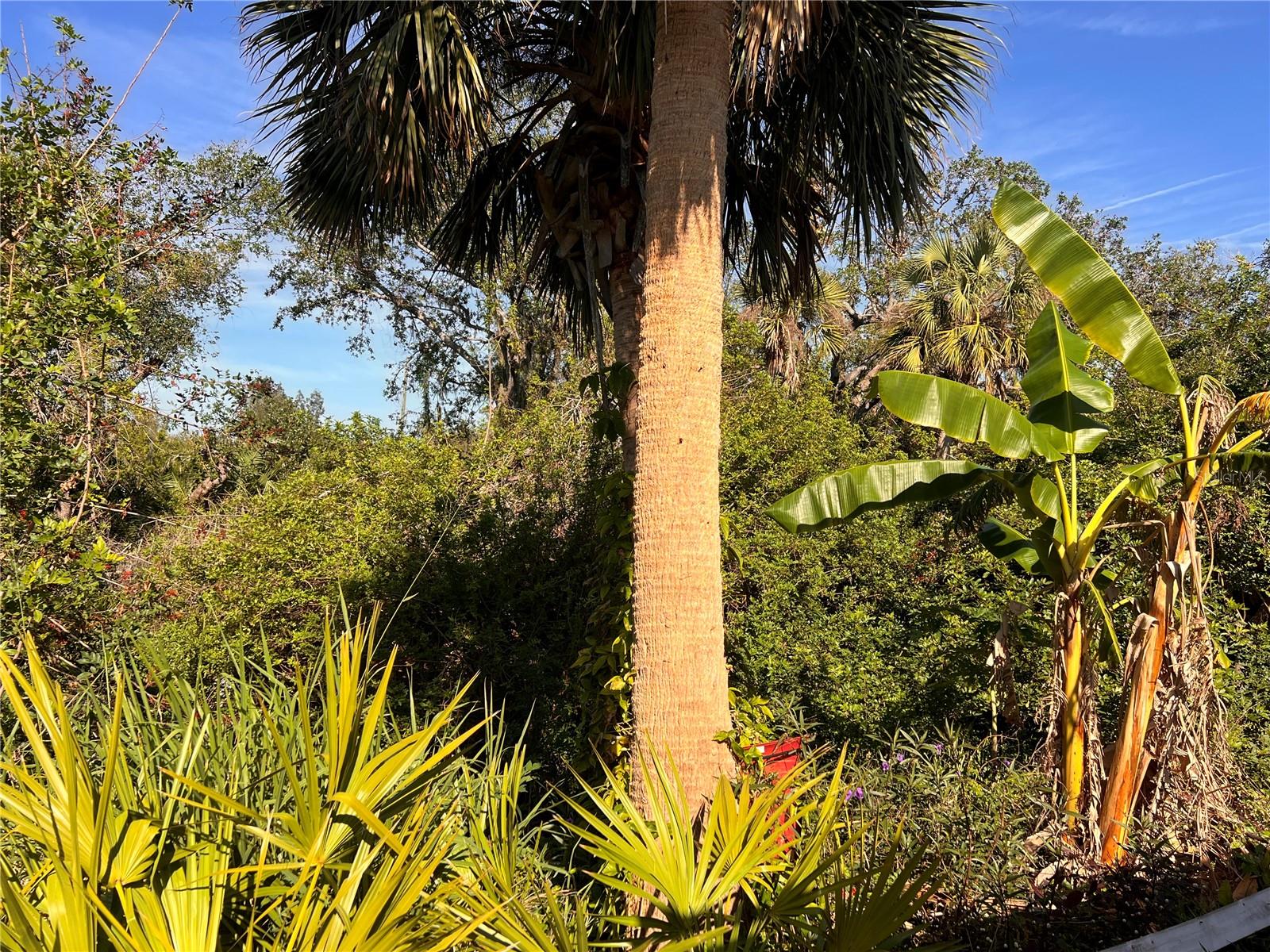 12130 DORADO DR, NORTH PORT, FL, 34287