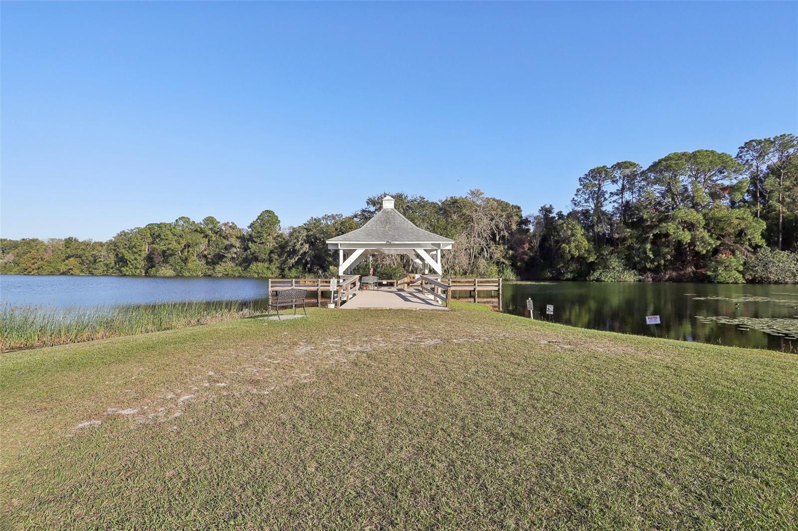 1420 SKYLINE DR, TAVARES, FL, 32778