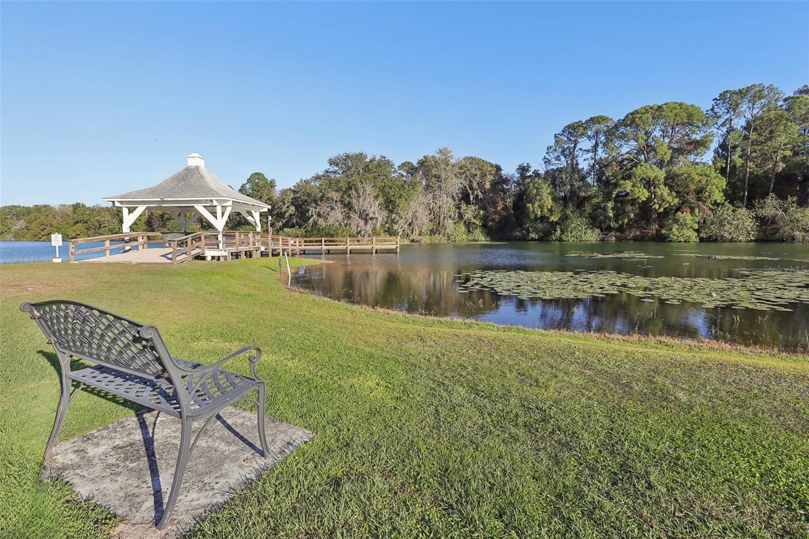 1420 SKYLINE DR, TAVARES, FL, 32778