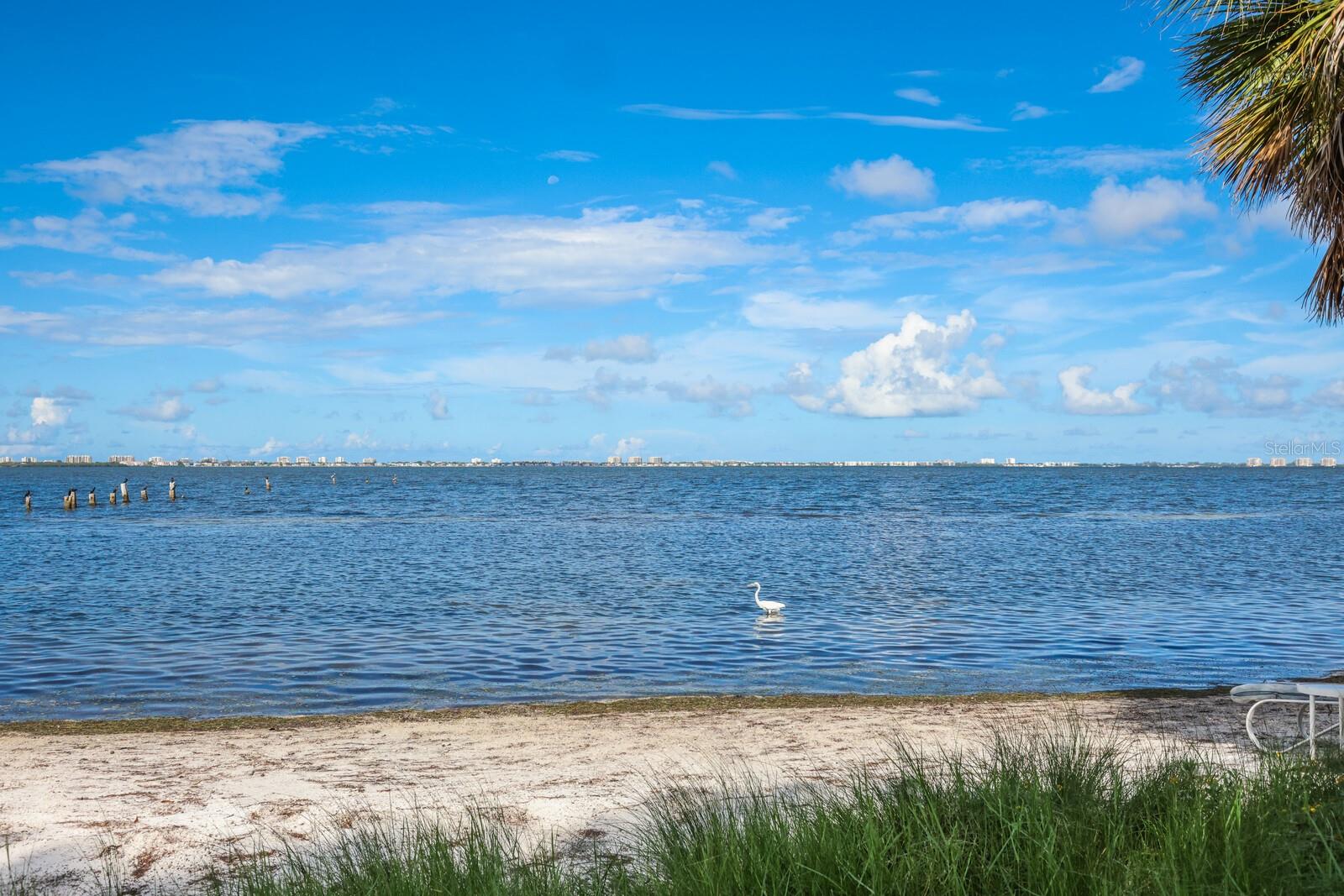 3301 BAY SHORE RD, SARASOTA, FL, 34234