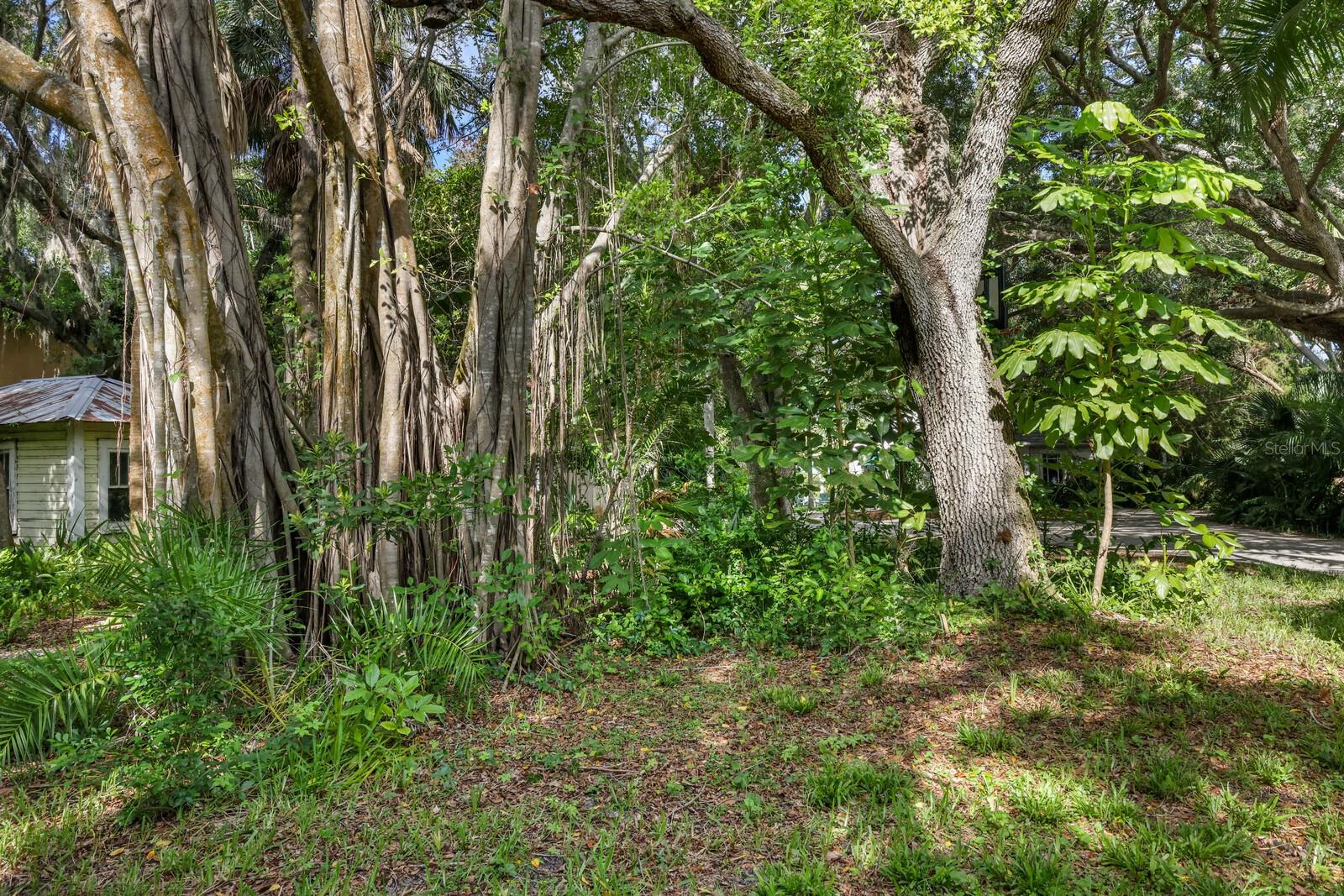 3301 BAY SHORE RD, SARASOTA, FL, 34234