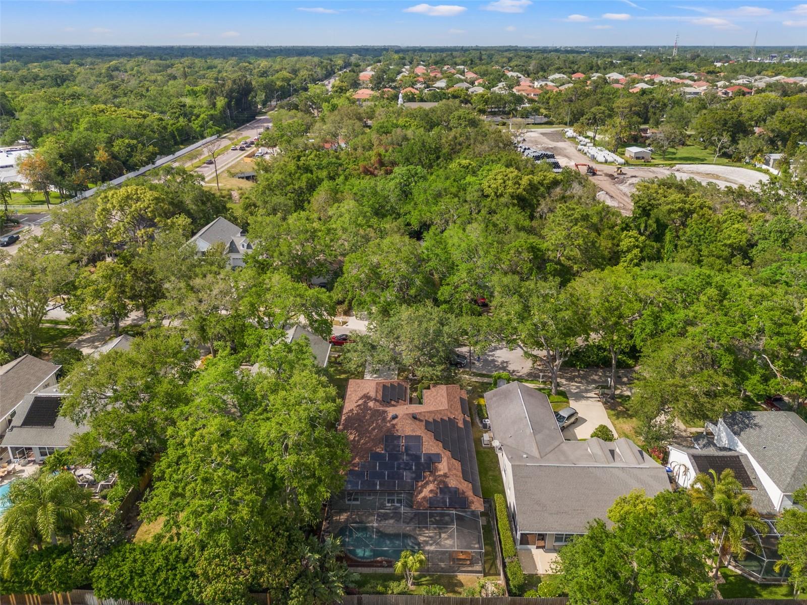 2223 RISING CREEK COURT, DUNEDIN, FL, 34698