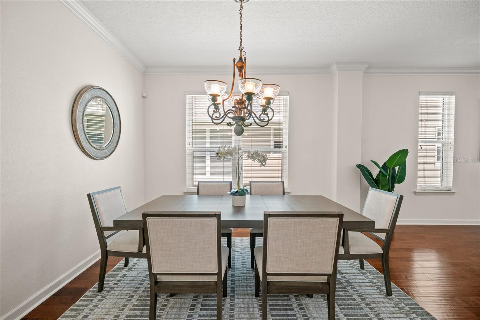 2223 RISING CREEK COURT, DUNEDIN, FL, 34698