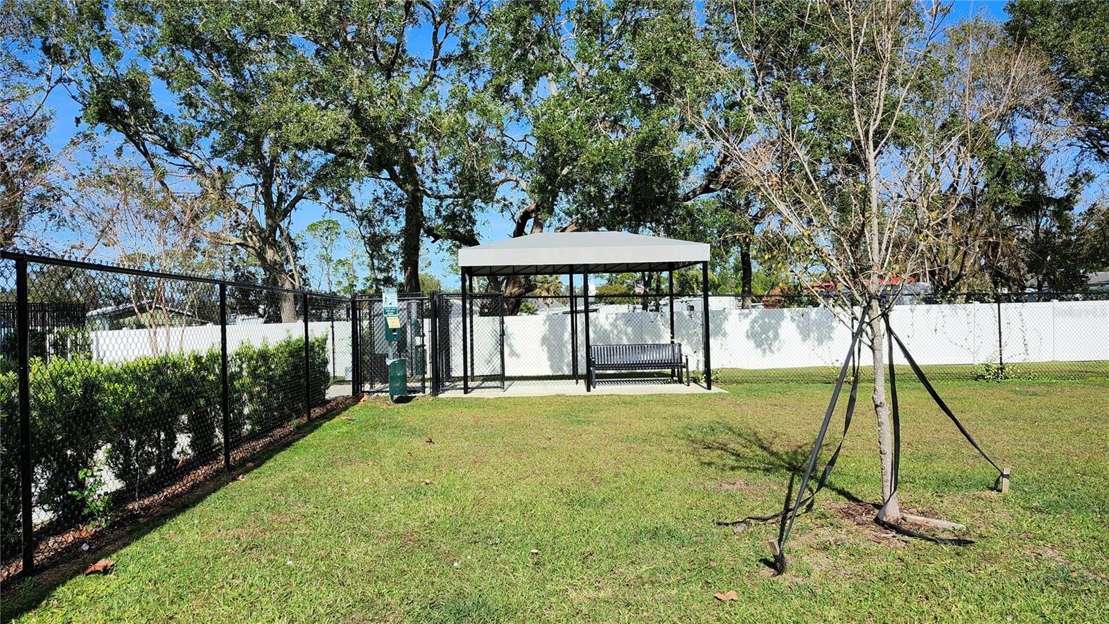 6024 SHINER ST, LAND O LAKES, FL, 34638