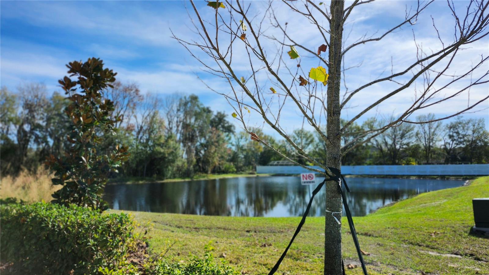 6024 SHINER ST, LAND O LAKES, FL, 34638