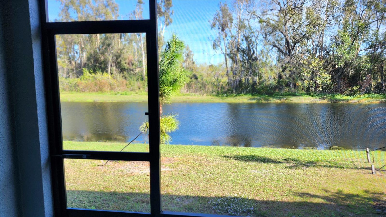 6024 SHINER ST, LAND O LAKES, FL, 34638