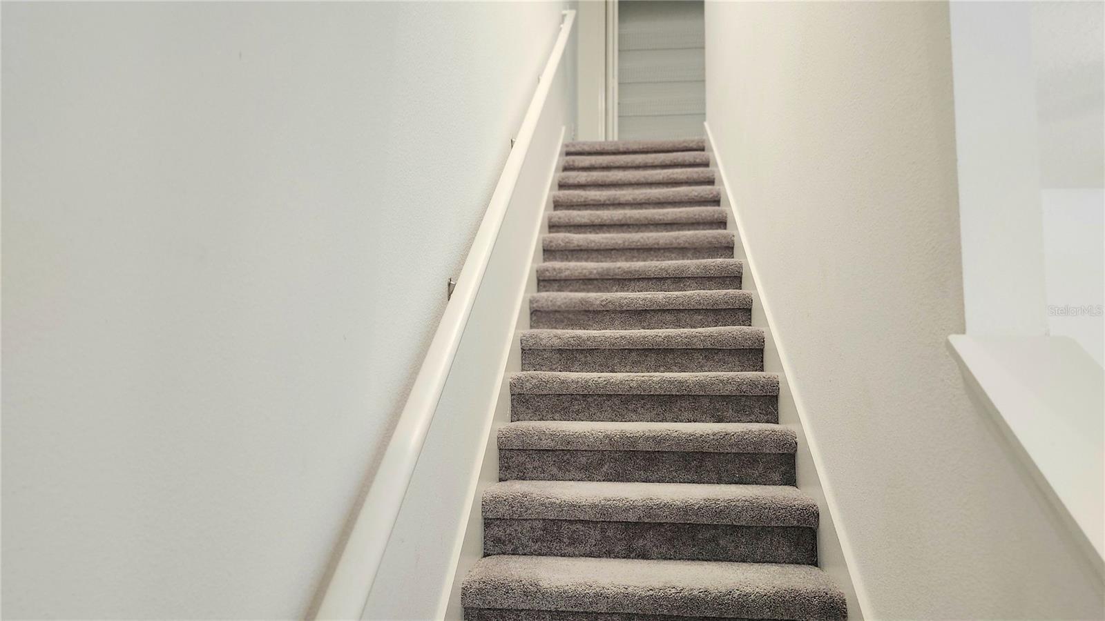 6024 SHINER ST, LAND O LAKES, FL, 34638