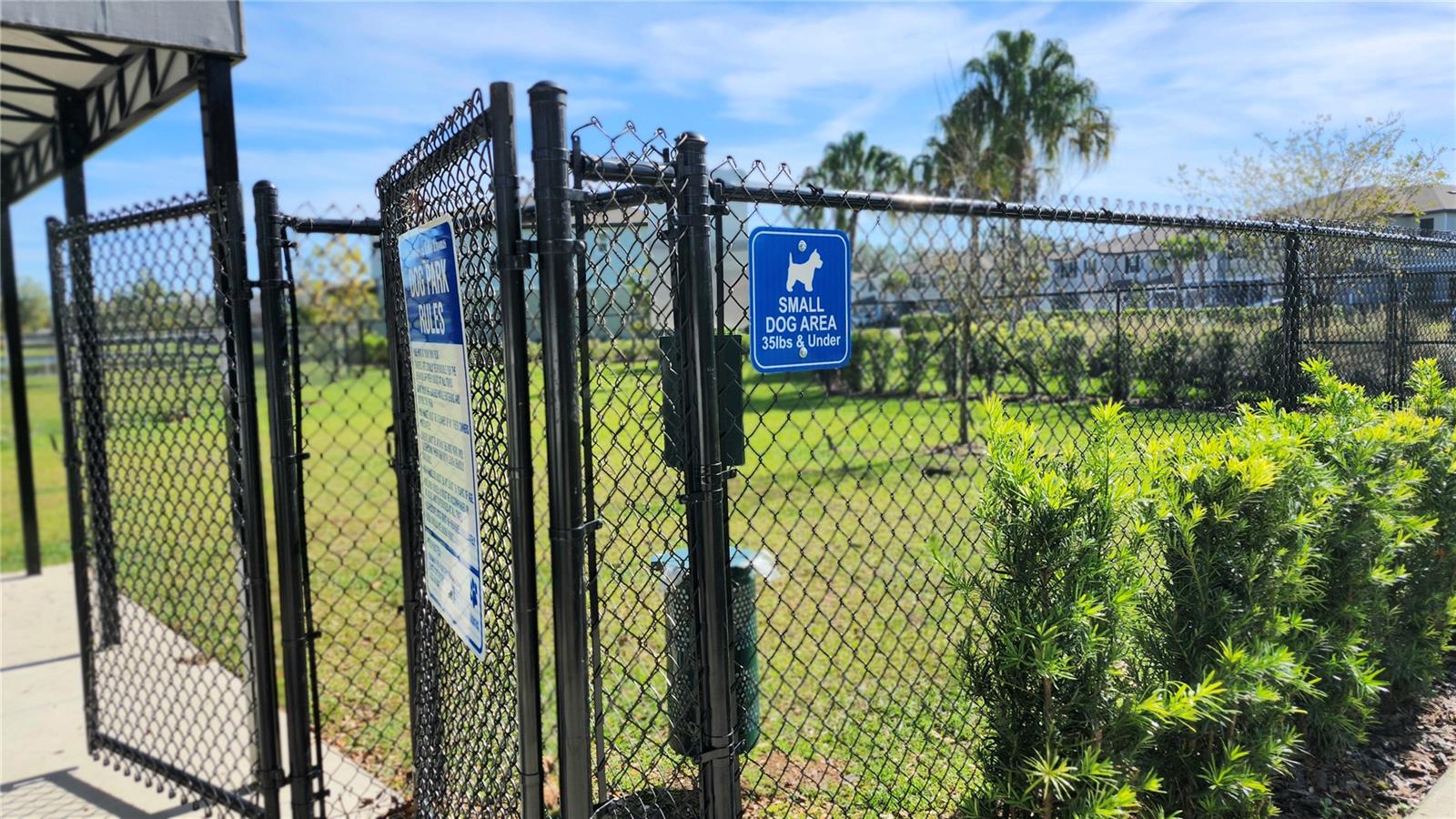 6024 SHINER ST, LAND O LAKES, FL, 34638