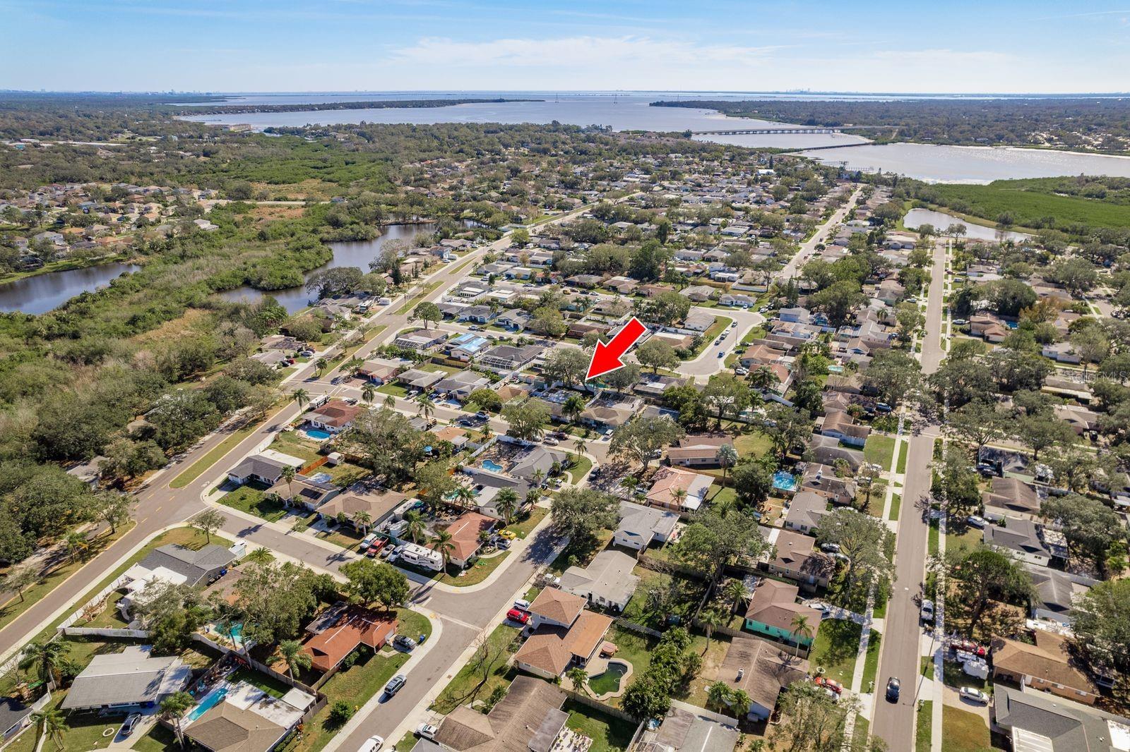 1809 CHINABERRY DR, OLDSMAR, FL, 34677