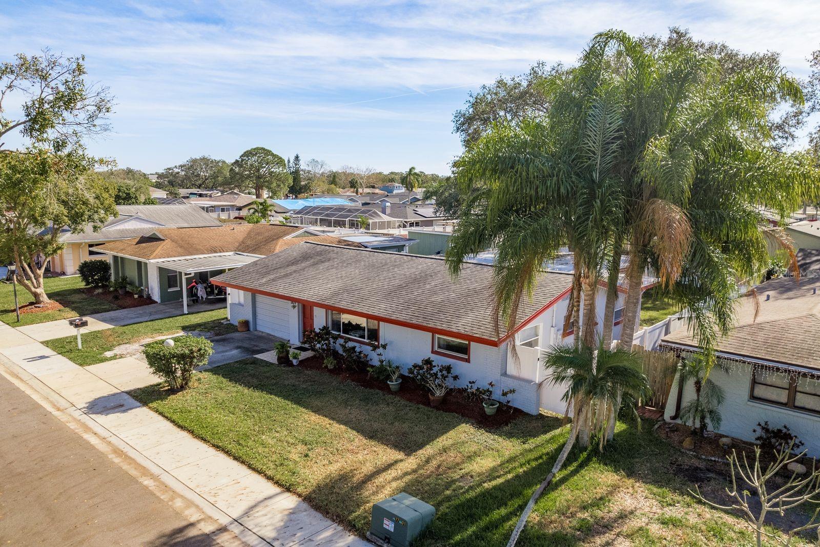 1809 CHINABERRY DR, OLDSMAR, FL, 34677